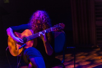 Guitare à archet de Philippe Berne luthier 