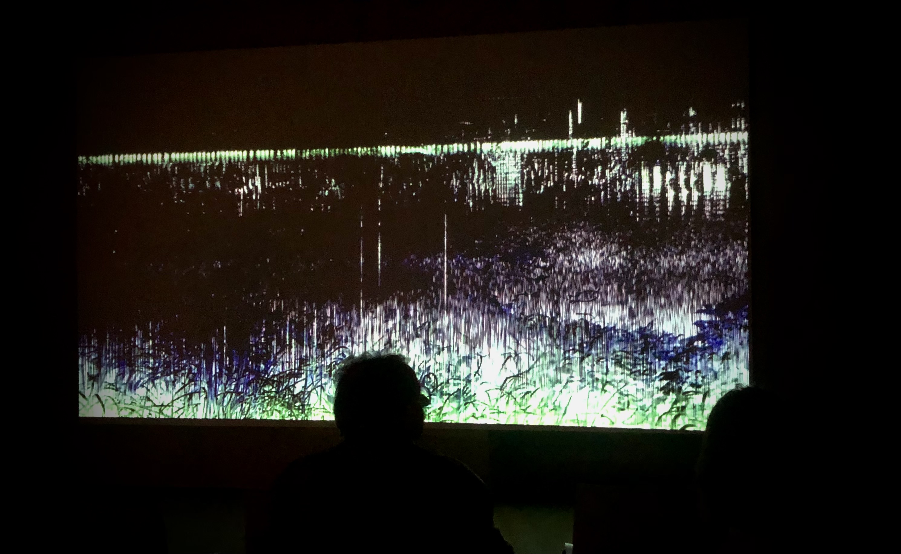 4-Channel Sound-Installation at Nationpark Austria Visitor Center 2024